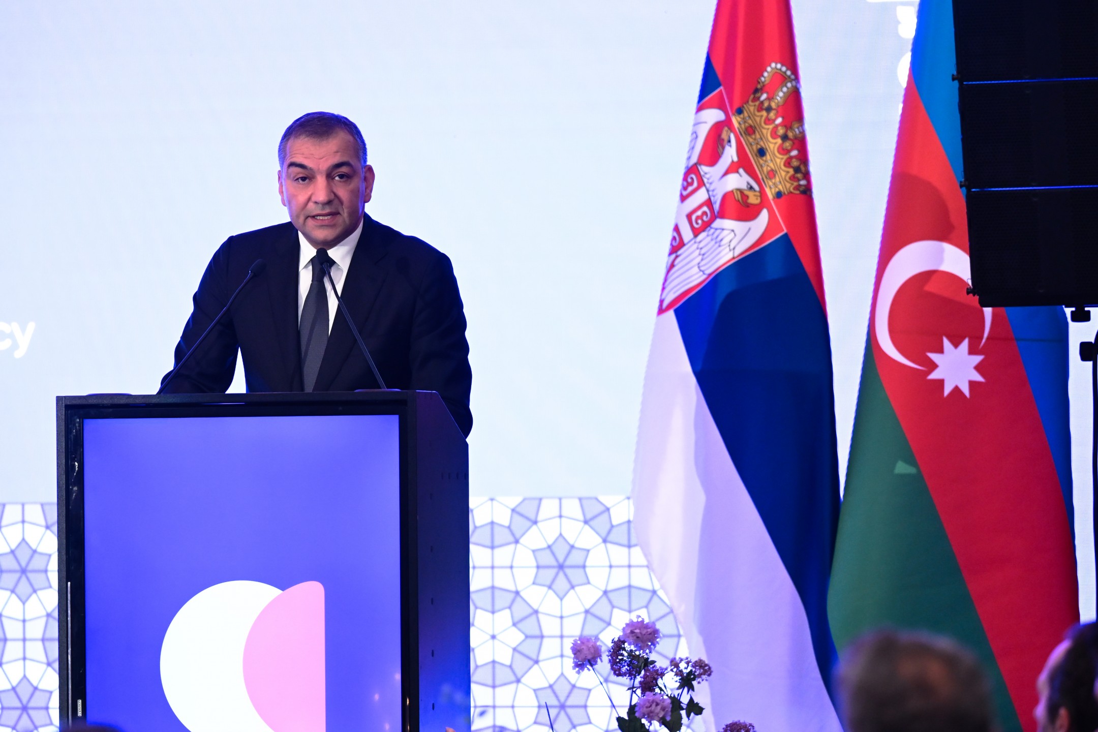 Azerbaijan Tourism Board Strengthens Connections with Serbian Travel Industry